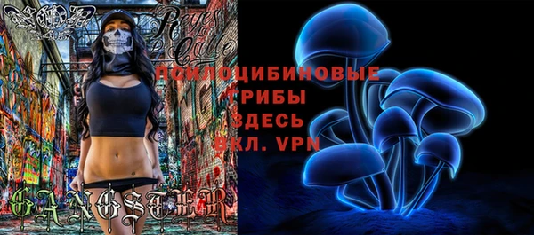 МДПВ Алексеевка