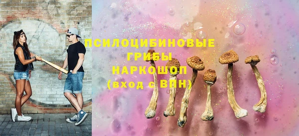 гидра Алексин