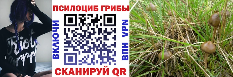 Галлюциногенные грибы Cubensis  Горбатов 